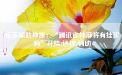 玩家辅助神器：“腾讯雀神麻将有挂买吗”开挂(透视)辅助