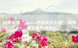 玩家必搜“appoker透视挂怎么用”(原来确实是有插件