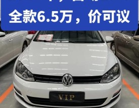 大众高尔夫2016款／大众高尔夫2016款参数