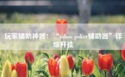 玩家辅助神器：“sohoo poker辅助器”详细开挂