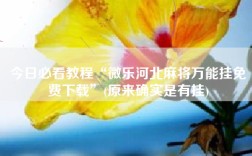 今日必看教程“微乐河北麻将万能挂免费下载”(原来确实是有挂)