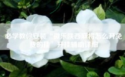 必学教你安装“微乐陕西麻将怎么开免费的挂”开挂辅助详细