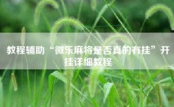 教程辅助“微乐麻将是否真的有挂”开挂详细教程