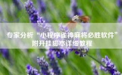 专家分析“小程序雀神麻将必胜软件”附开挂脚本详细教程