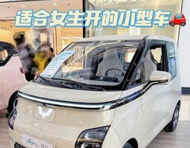 微型车小型车大全,微型车价格大全