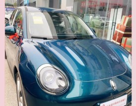 长城电动车ora报价(长城电动车型及报价)