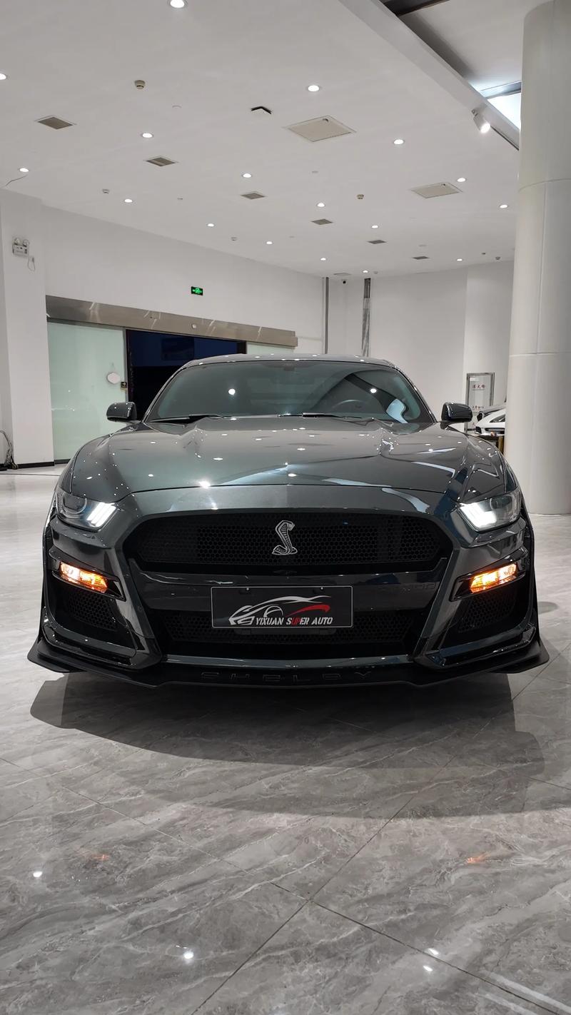 野马黑武士落地价(野马黑武士车多少钱)