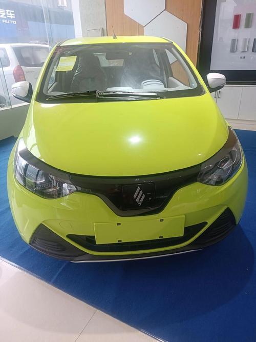 雷诺纯电动汽车 雷诺纯电动汽车报价