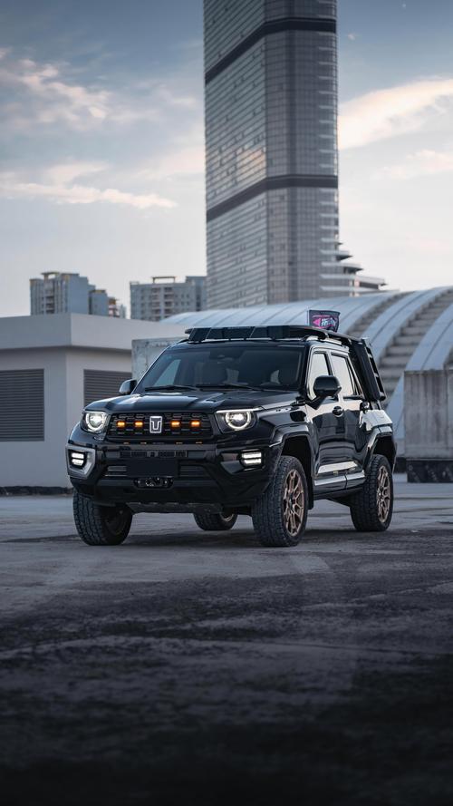 长城魏派500越野车价格(长城魏派300越野版报价)