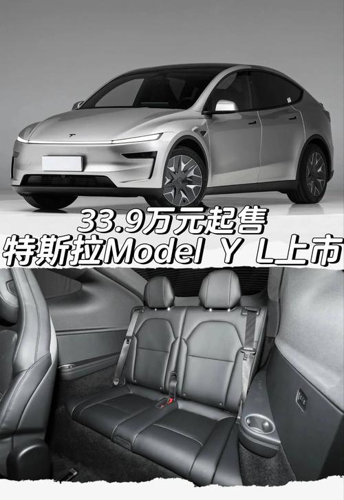 特斯拉modely价格多少/特斯拉model y车价