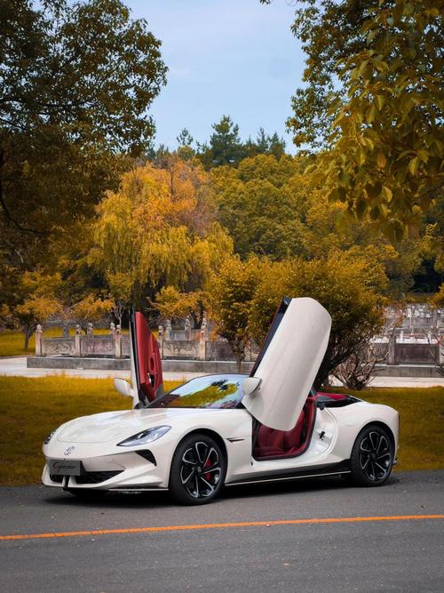 敞篷车的敞篷是什么材料 敞篷车是什么样呀