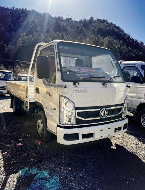 【东风小货车报价及图片价格,东风小货车新款图片大全】