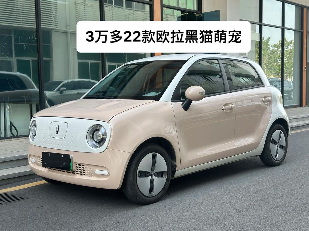 【欧拉多少钱一台,欧拉电轿多少钱】