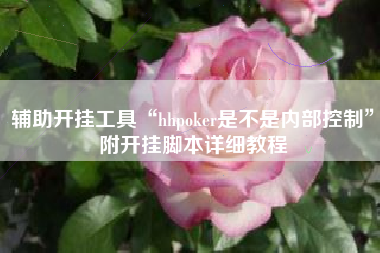 辅助开挂工具“hhpoker是不是内部控制”附开挂脚本详细教程