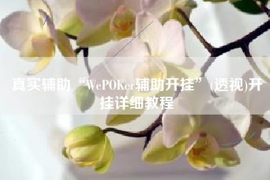 真实辅助“WePOKer辅助开挂	”(透视)开挂详细教程