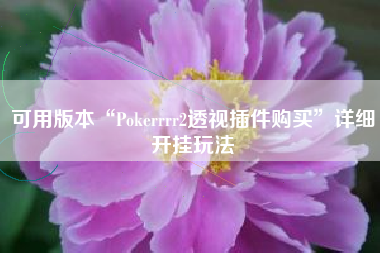 可用版本“Pokerrrr2透视插件购买”详细开挂玩法
