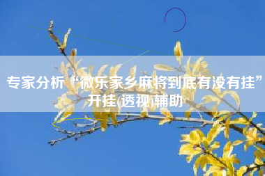 专家分析“微乐家乡麻将到底有没有挂	”开挂(透视)辅助