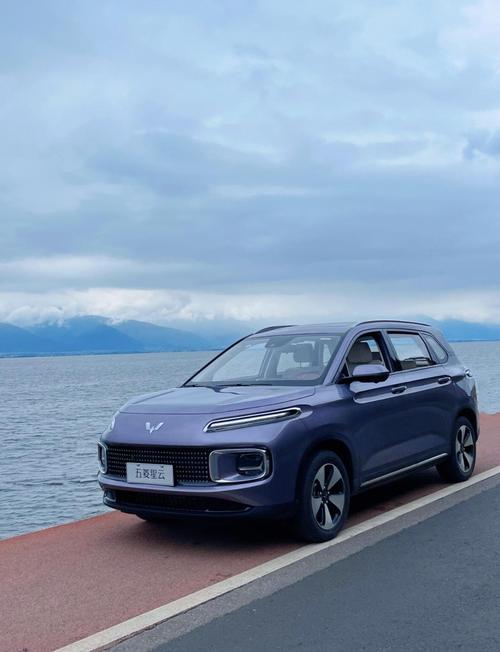 汽车五菱系列 五菱汽车suv系列