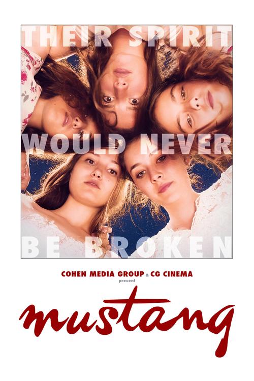 野马电影免费观看完整版国语(野马电影免费观看完整版国语高清)