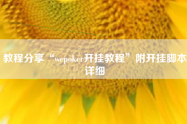 教程分享“wepoker开挂教程”附开挂脚本详细