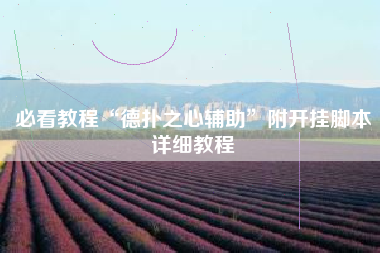 必看教程“德扑之心辅助”附开挂脚本详细教程