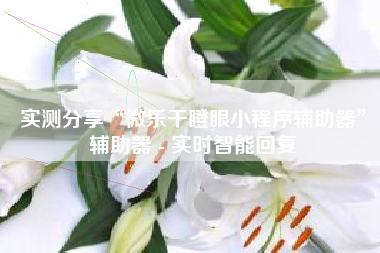 实测分享“微乐干瞪眼小程序辅助器”辅助器 - 实时智能回复