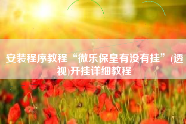 安装程序教程“微乐保皇有没有挂”(透视)开挂详细教程