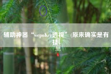 辅助神器“wepoKer透视	”(原来确实是有挂)