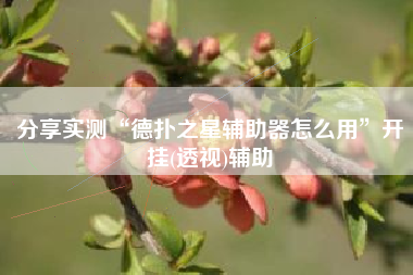 分享实测“德扑之星辅助器怎么用”开挂(透视)辅助
