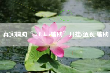 真实辅助“wePoker辅助”开挂(透视)辅助