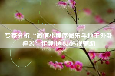 专家分析“微信小程序微乐斗地主外卦神器”作弊(透视)透视辅助