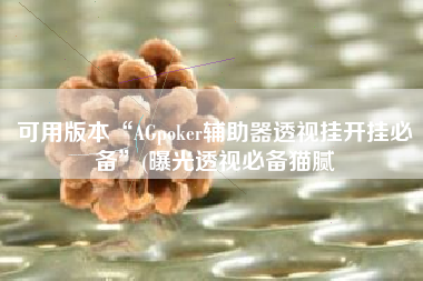 可用版本“AGpoker辅助器透视挂开挂必备	”(曝光透视必备猫腻