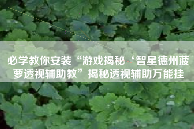 必学教你安装“游戏揭秘‘智星德州菠萝透视辅助教	”揭秘透视辅助万能挂
