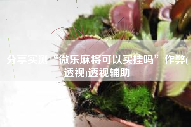 分享实测“微乐麻将可以买挂吗	”作弊(透视)透视辅助