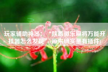 玩家辅助神器：“陕西微乐麻将万能开挂器怎么发现”(原来确实是有插件)