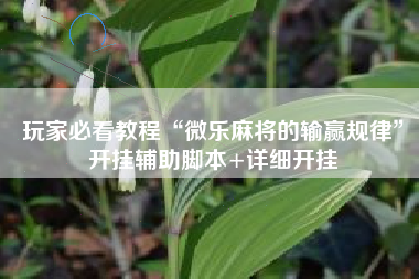 玩家必看教程“微乐麻将的输赢规律”开挂辅助脚本+详细开挂
