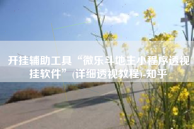 开挂辅助工具“微乐斗地主小程序透视挂软件”(详细透视教程)-知乎