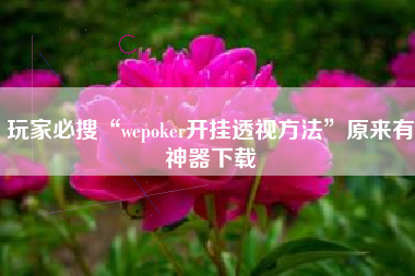 玩家必搜“wepoker开挂透视方法”原来有神器下载