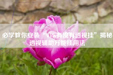 必学教你安装“WPK有没有透视挂”揭秘透视辅助万能挂用法