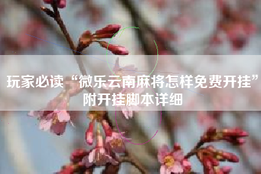 玩家必读“微乐云南麻将怎样免费开挂”附开挂脚本详细