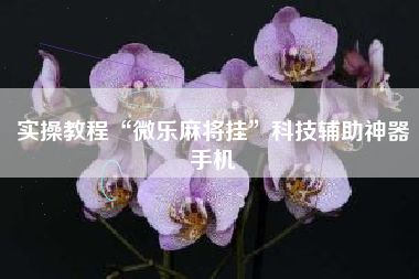 实操教程“微乐麻将挂”科技辅助神器手机