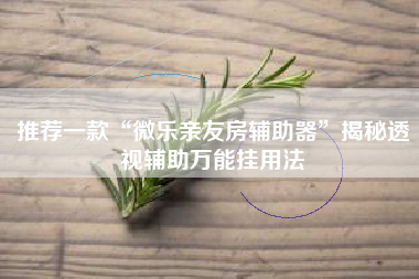 推荐一款“微乐亲友房辅助器	”揭秘透视辅助万能挂用法