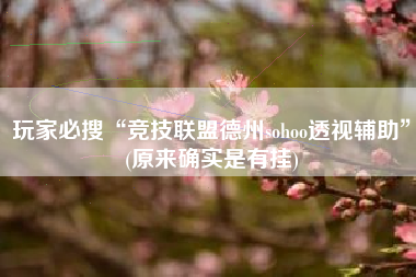 玩家必搜“竞技联盟德州sohoo透视辅助	”(原来确实是有挂)