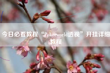 今日必看教程“Pokerworld透视	”开挂详细教程