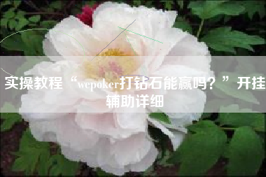 实操教程“wepoker打钻石能赢吗？”开挂辅助详细