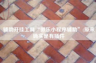 辅助开挂工具“微乐小程序辅助”(原来确实是有插件 辅助开挂工具“微乐小程序辅助”(原来确实是有插件