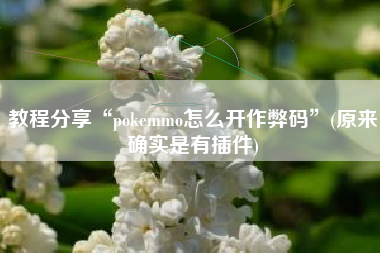 教程分享“pokemmo怎么开作弊码	”(原来确实是有插件)