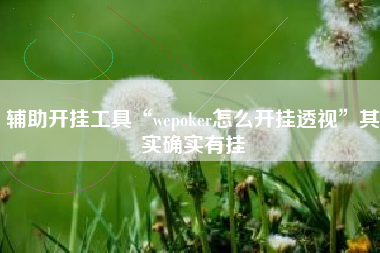 辅助开挂工具“wepoker怎么开挂透视”其实确实有挂