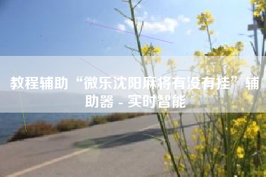 教程辅助“微乐沈阳麻将有没有挂	”辅助器 - 实时智能