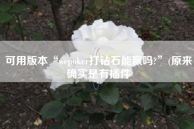 可用版本“wepoker打钻石能赢吗?	”(原来确实是有插件